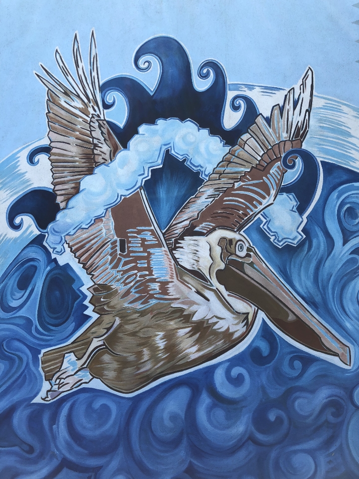 Photo of the Brown Pelican Painting