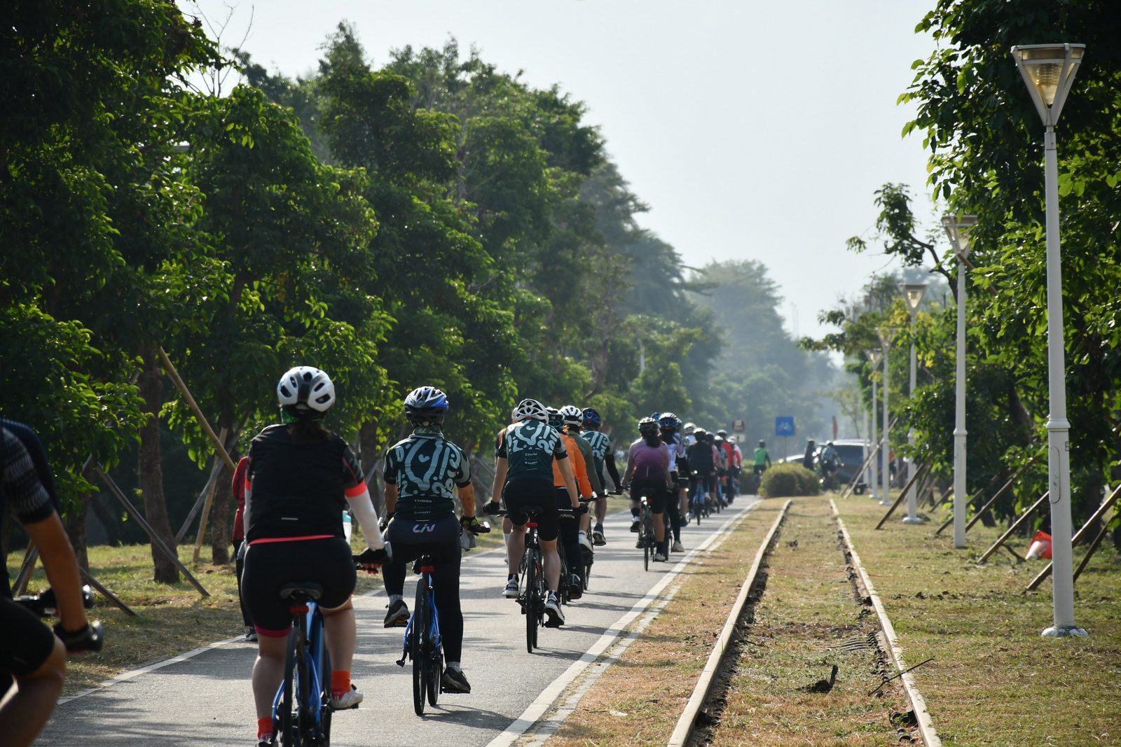 The pack rolling along a tree-lined path