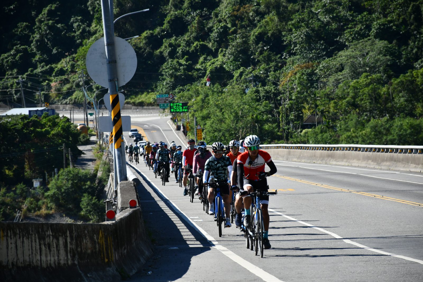 The pack crossing a bridge over the valley
