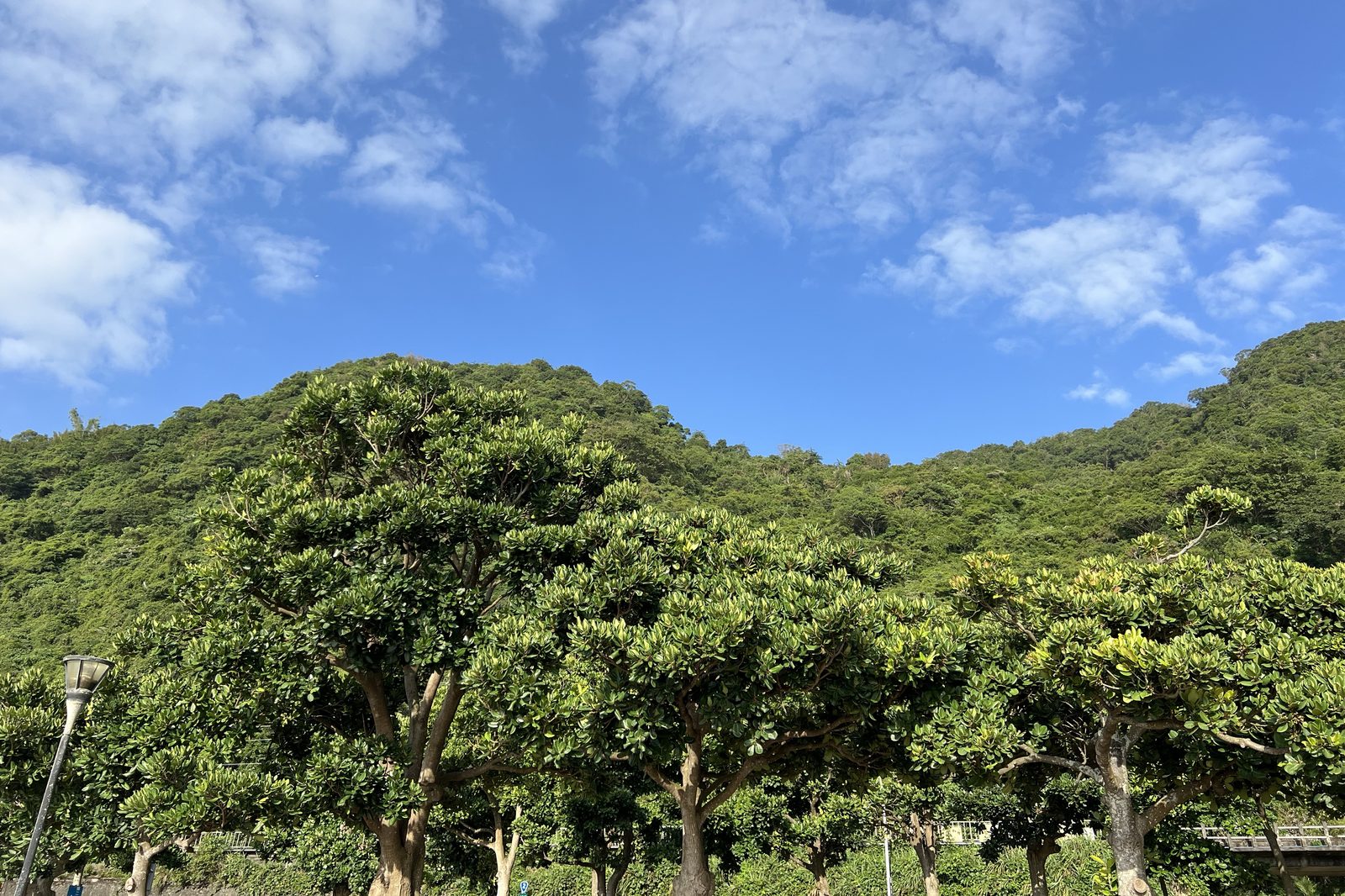Green hills against a clear blue sky