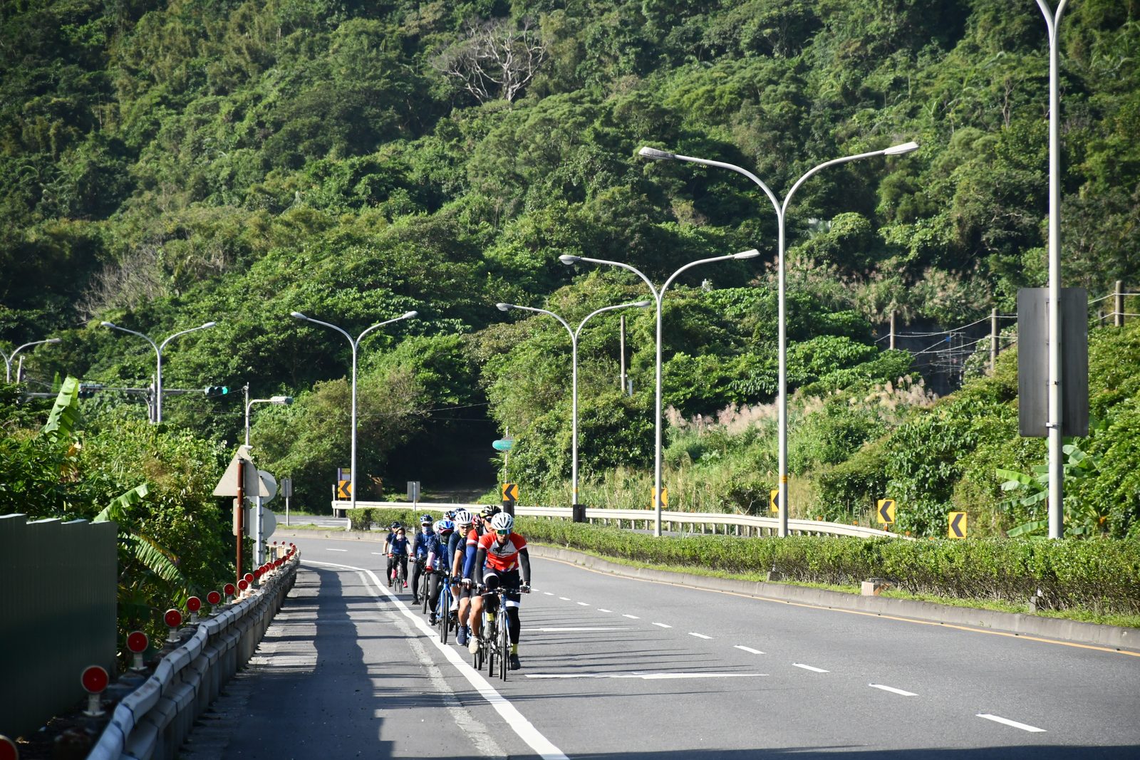 The pack rolling along the road